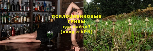 крисы Алексин