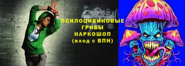 эйфоретик Алзамай