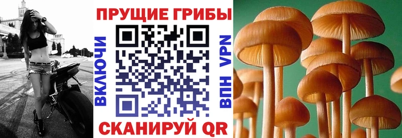 Галлюциногенные грибы ЛСД  продажа наркотиков  shop наркотические препараты  Первоуральск 