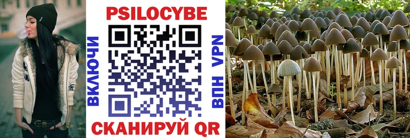 Псилоцибиновые грибы Cubensis Первоуральск